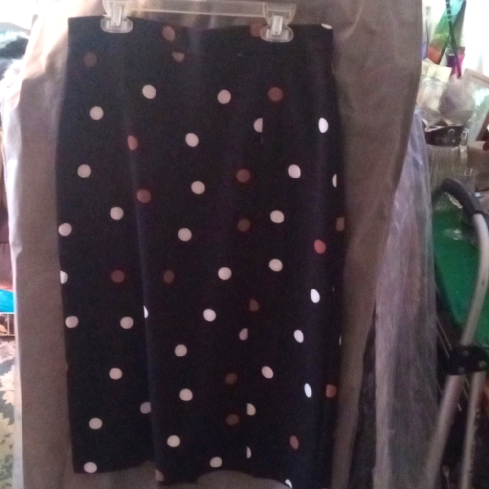 Ann Taylor skirt